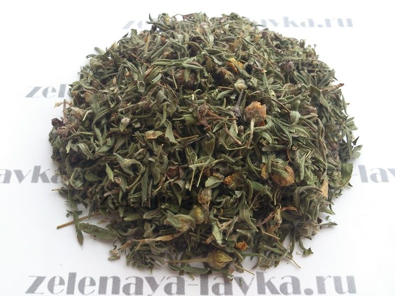 Курильский чай кустарниковый (трава)